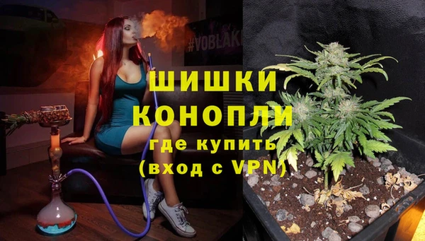 ГАЛЛЮЦИНОГЕННЫЕ ГРИБЫ Арсеньев